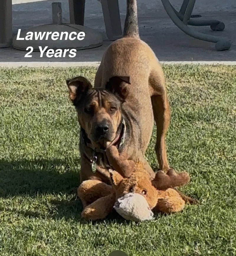 Lawrence