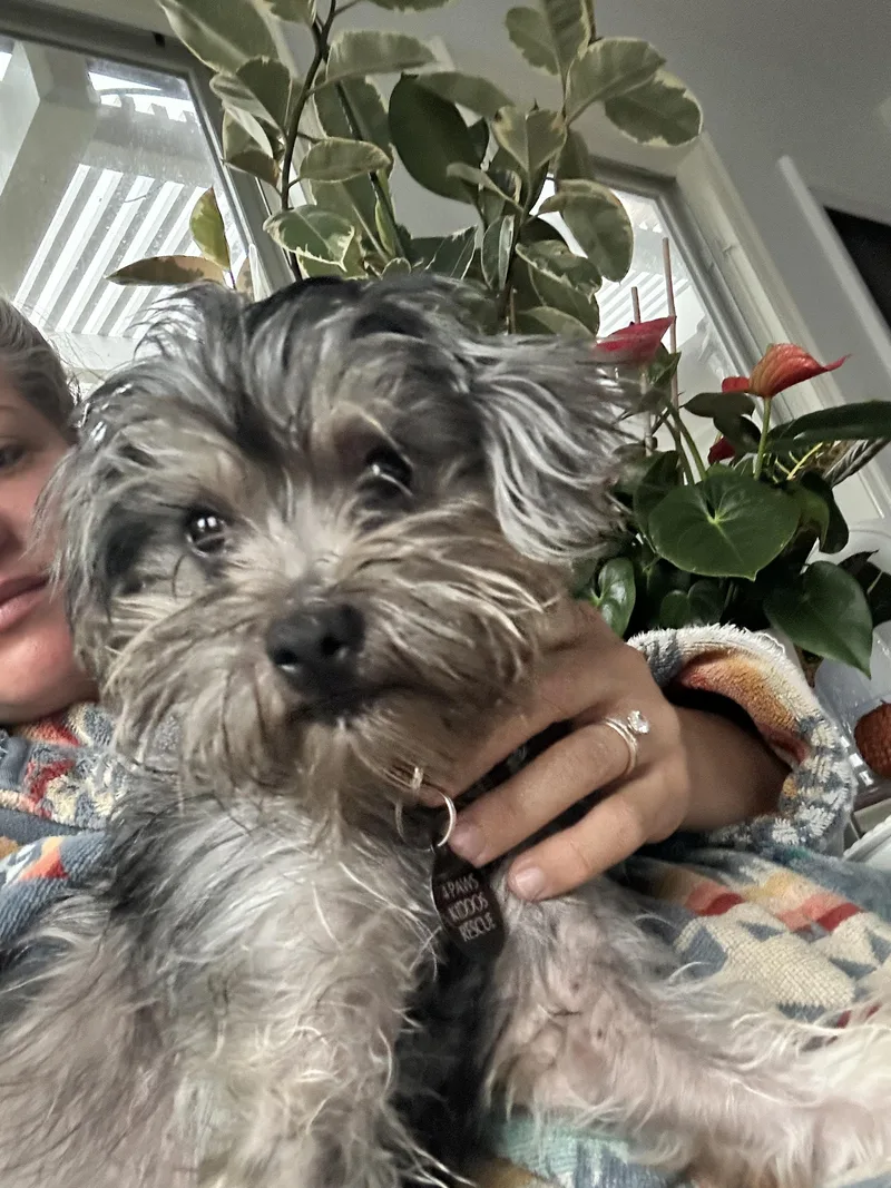 Miss Zoey thumbnail 3