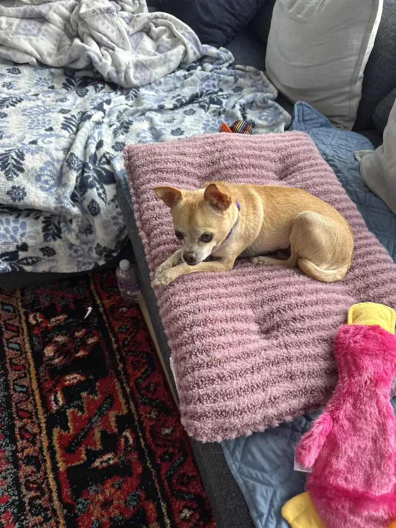 Max
