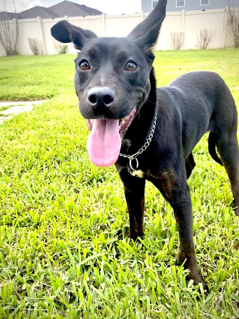 Luna
