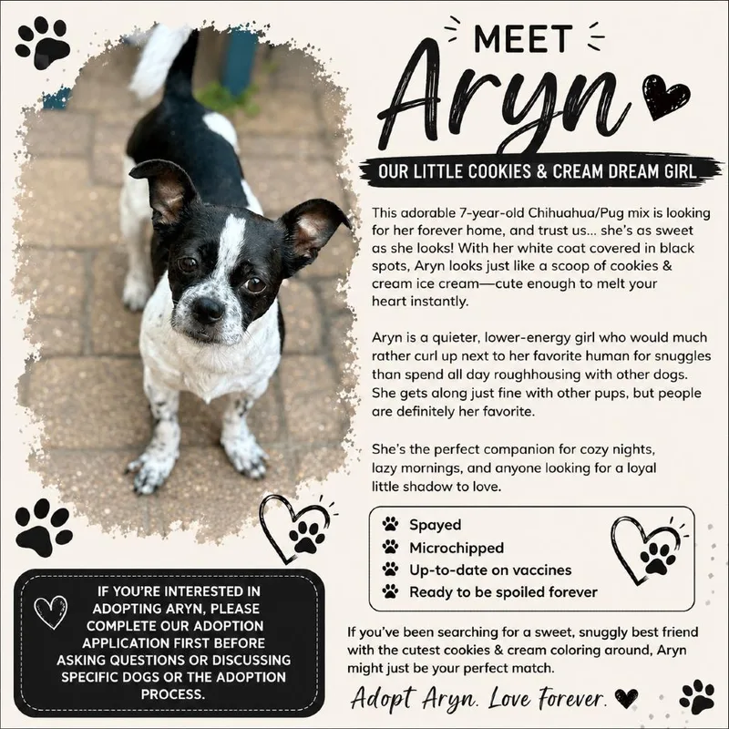 Aryn Arriving  D thumbnail 2