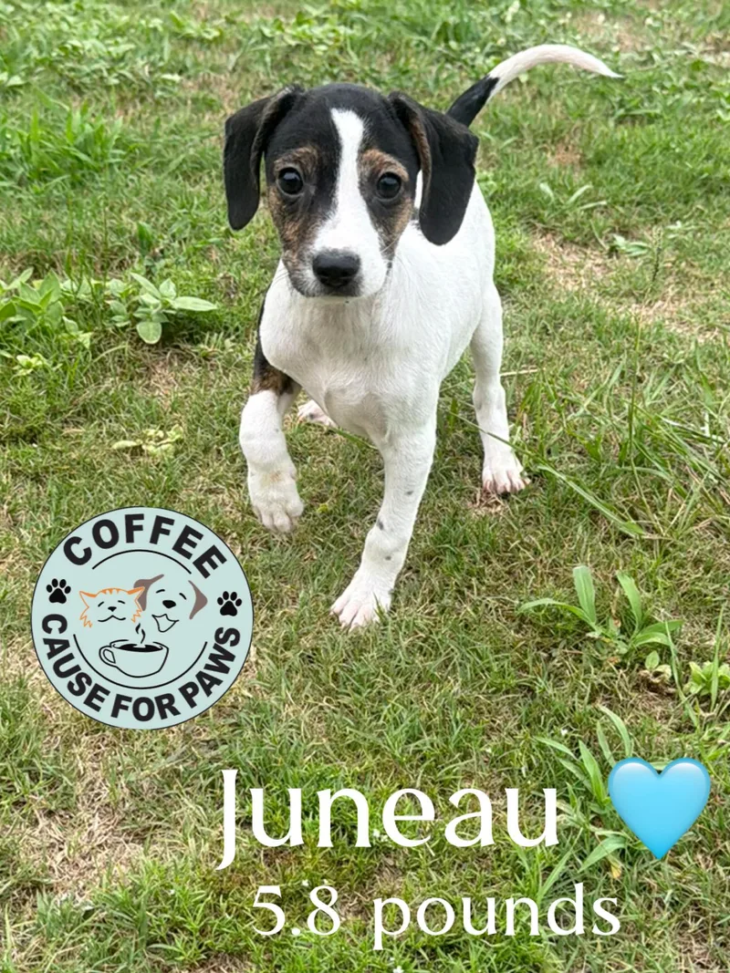Juneau
