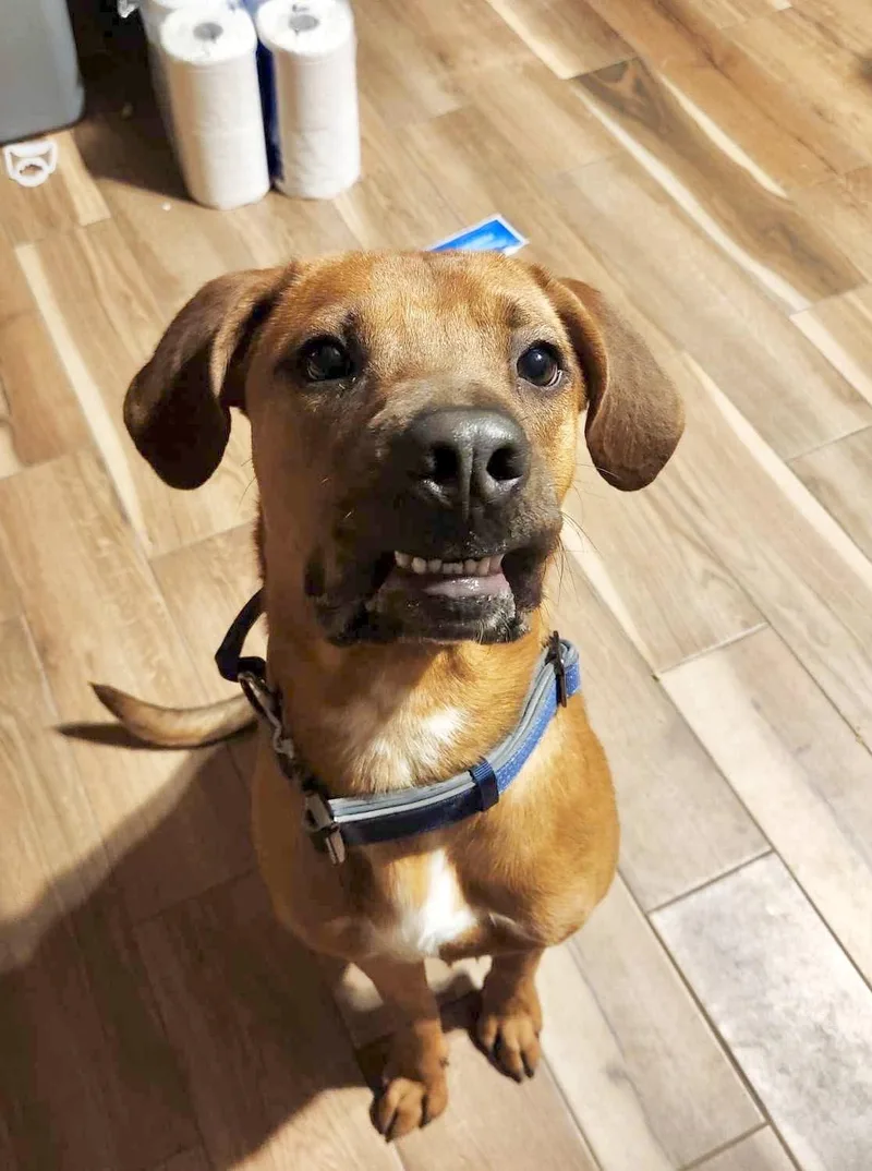 Bucee Boo thumbnail 2