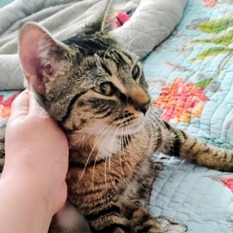 Chiquita N. – Your thumbnail 2