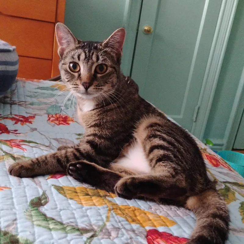 Chiquita N. – Your