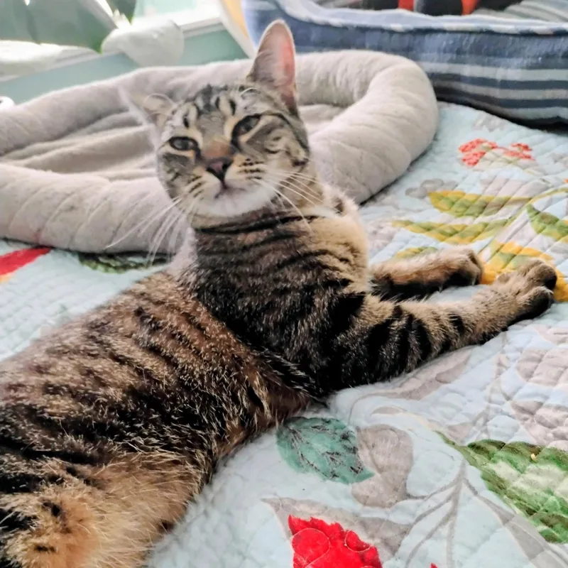 Chiquita N. – Your thumbnail 3