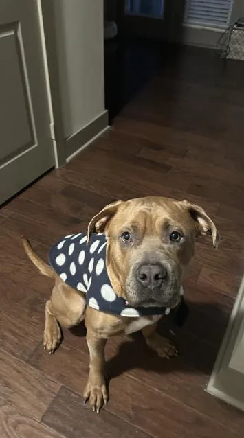 Truman