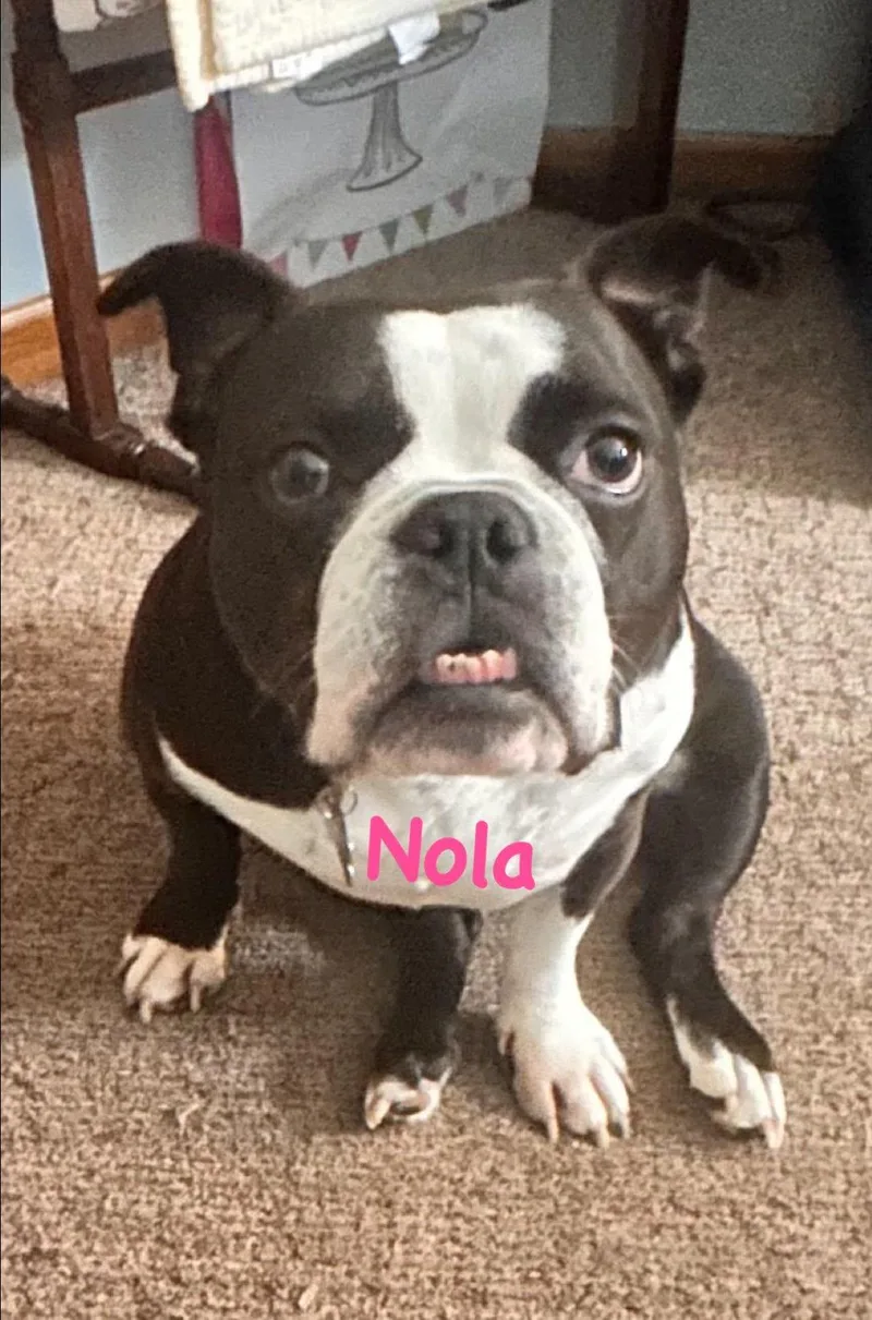 Finn of Nola and thumbnail 3
