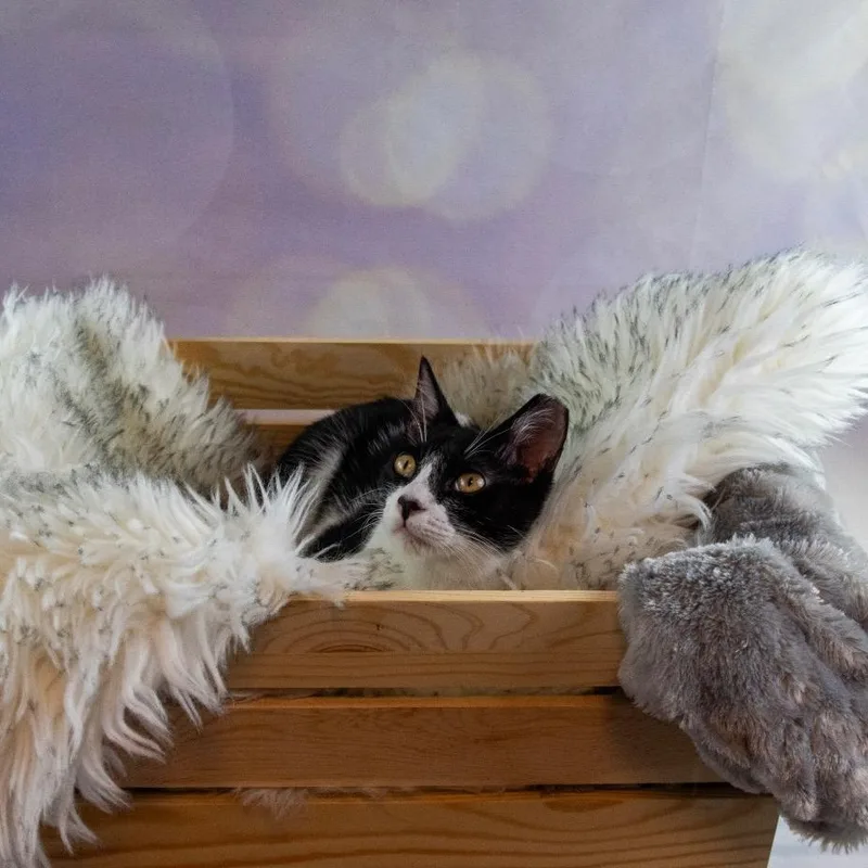 James See His Sweet thumbnail 2