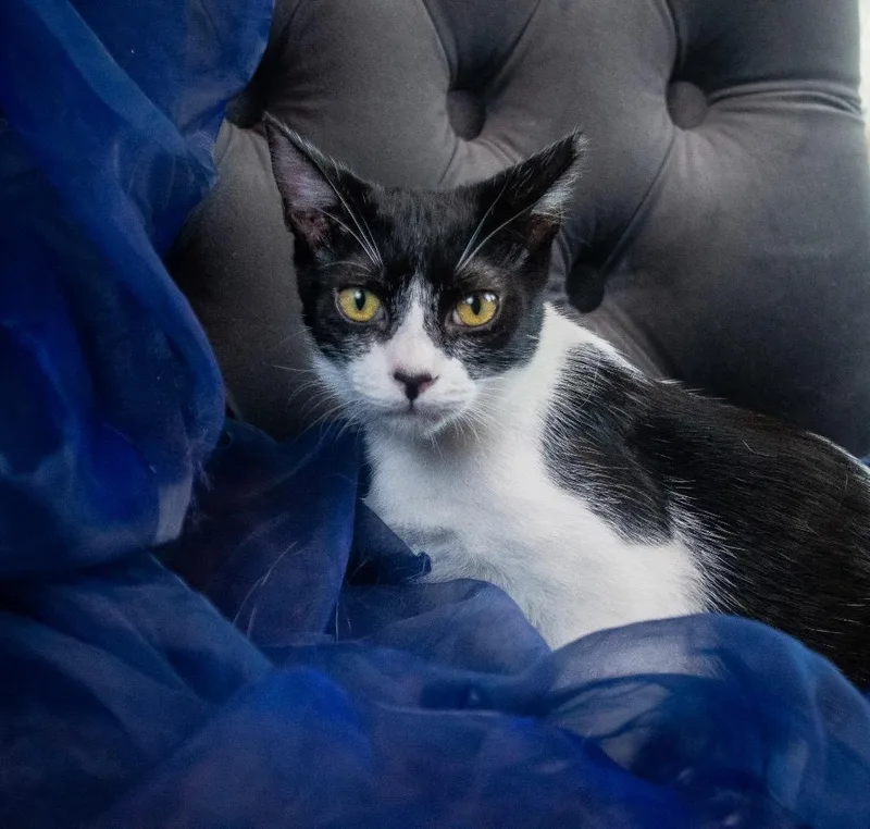 James See His Sweet thumbnail 3