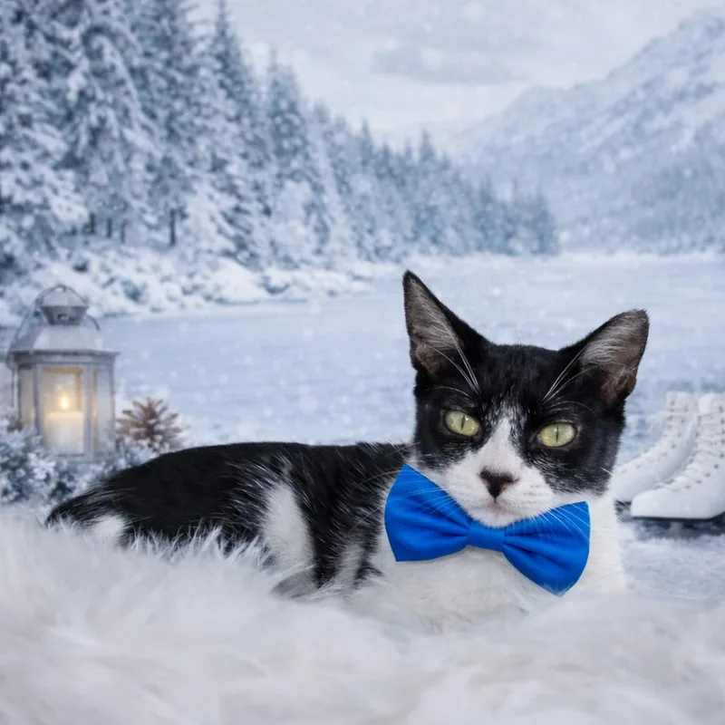 James See His Sweet thumbnail 4