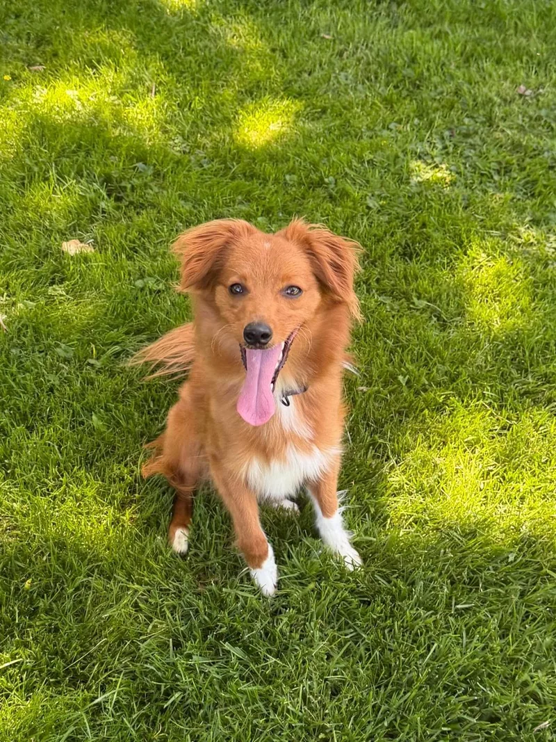 Sadie thumbnail 4