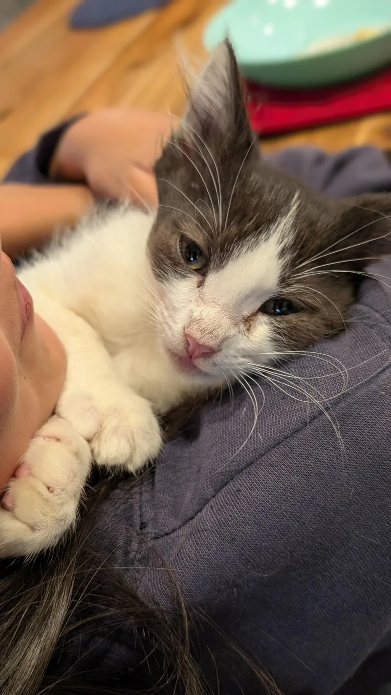 Kevin thumbnail 3
