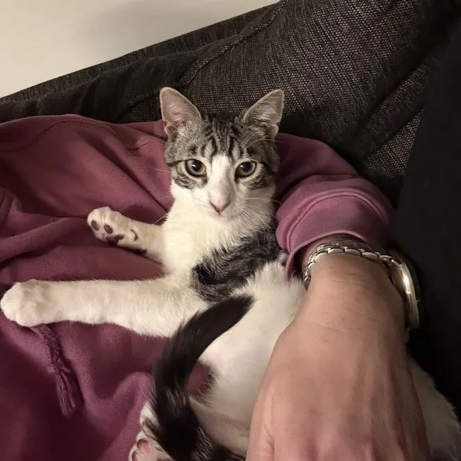 Fun Gal And Fungi thumbnail 2