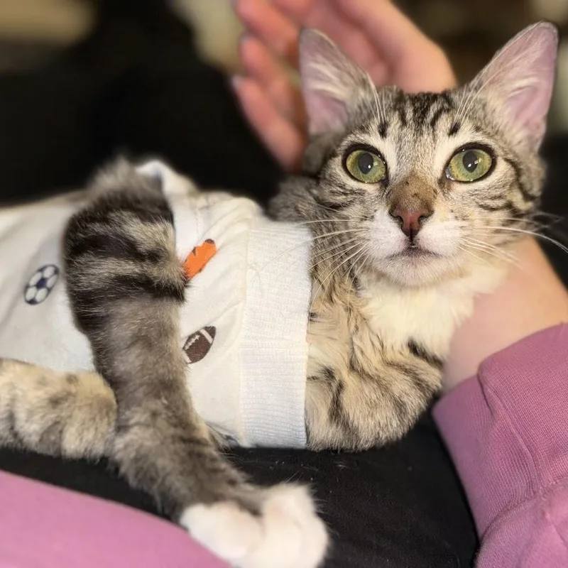 Fun Gal And Fungi thumbnail 3