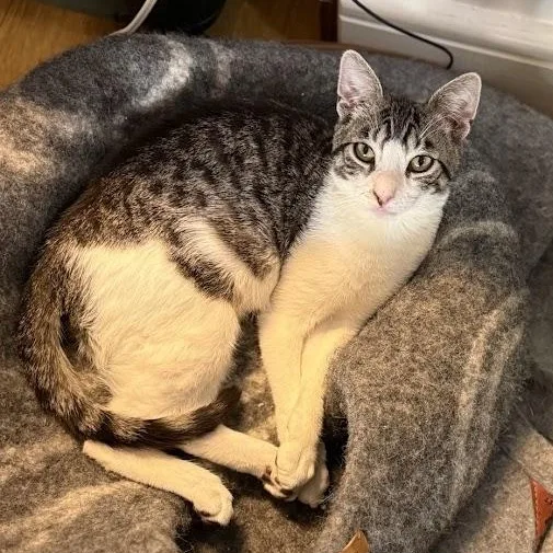 Fun Gal And Fungi thumbnail 5