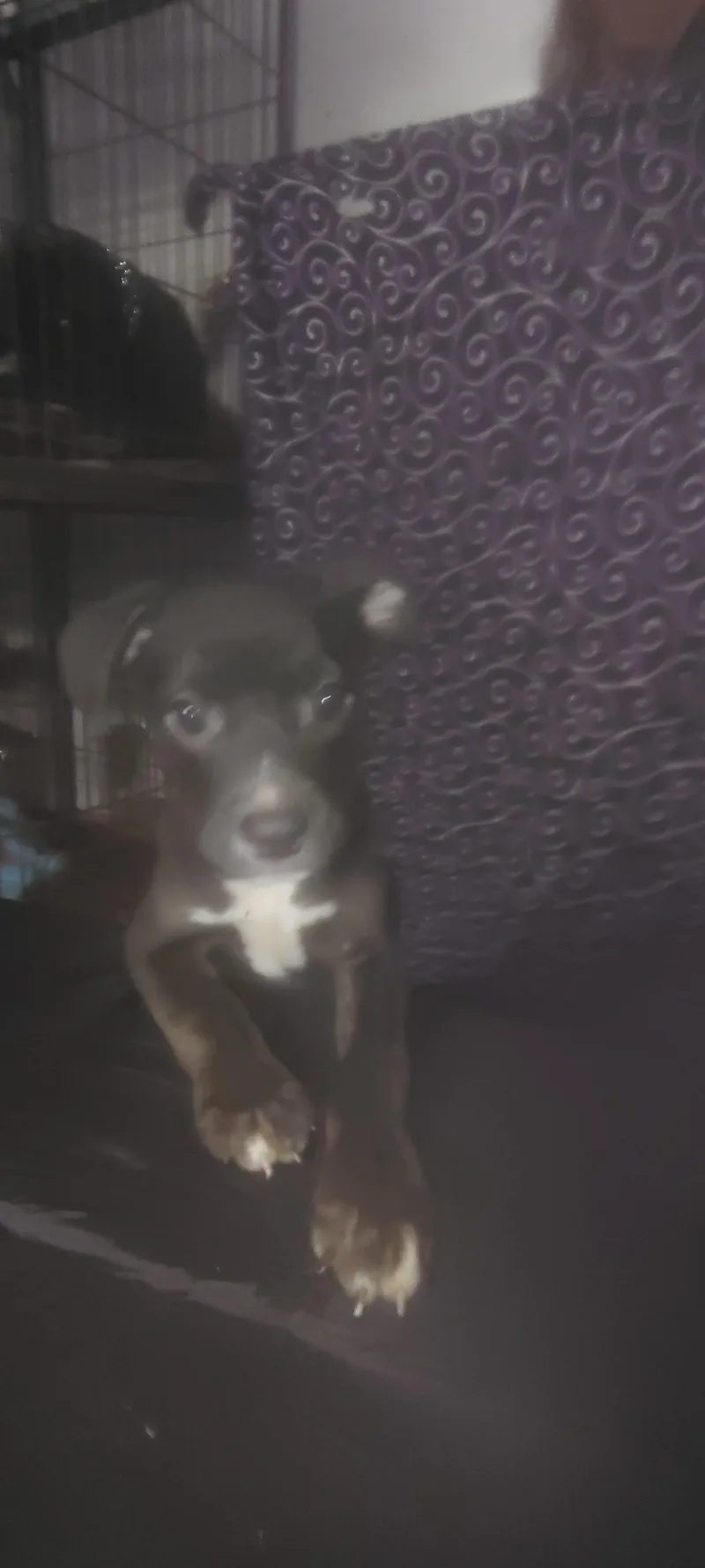 Ezzie thumbnail 3