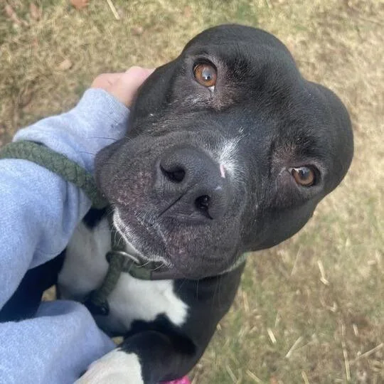 It's A Rock thumbnail 3