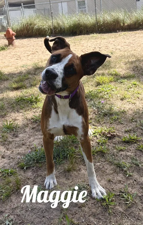 Maggie