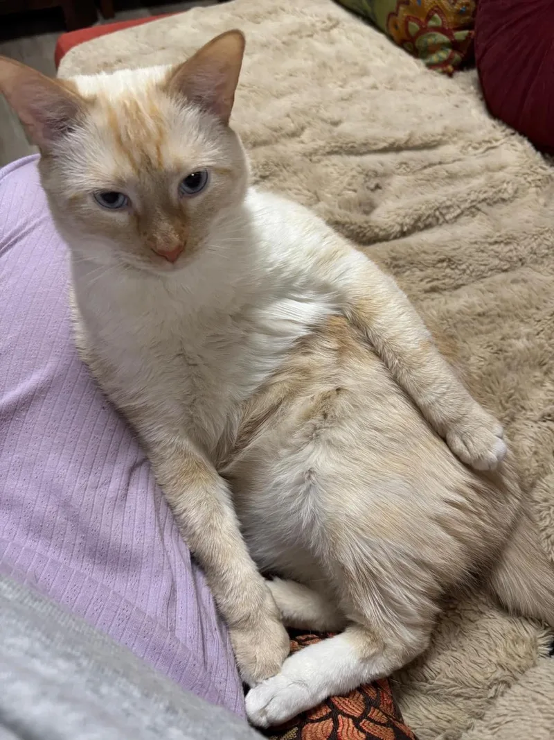 Thor & Loki thumbnail 6