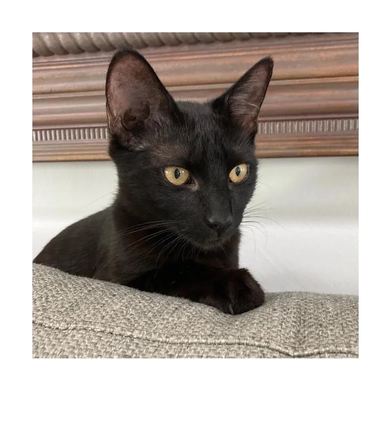 Mathilde thumbnail 2