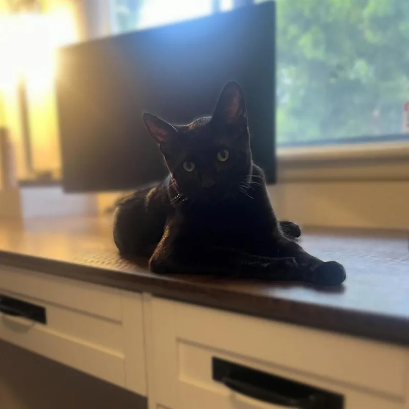 Mathilde thumbnail 4