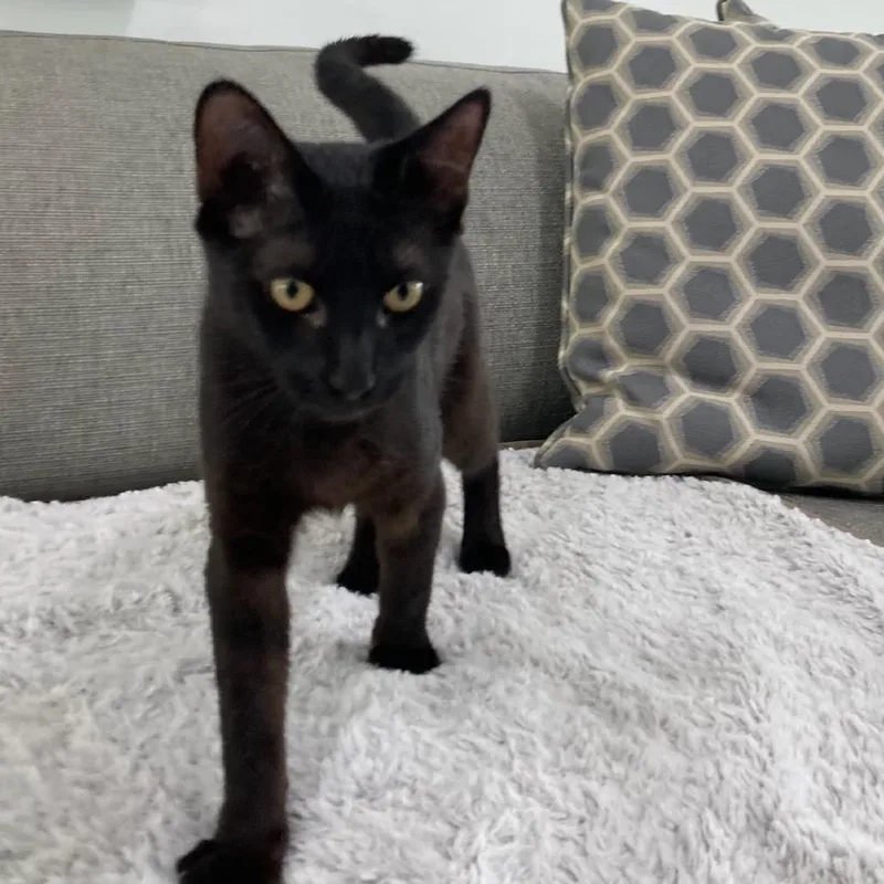 Mathilde thumbnail 6