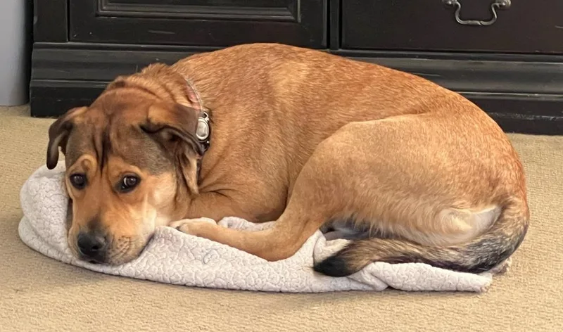 Kenyazambia thumbnail 2