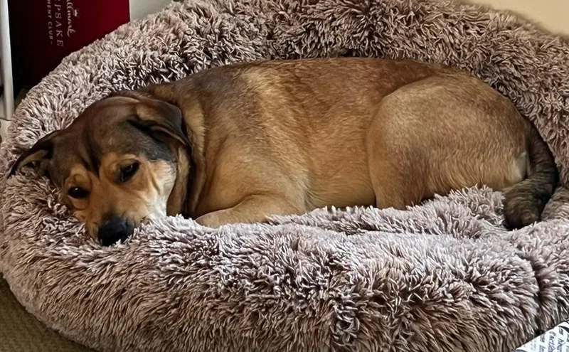 Kenyazambia thumbnail 3