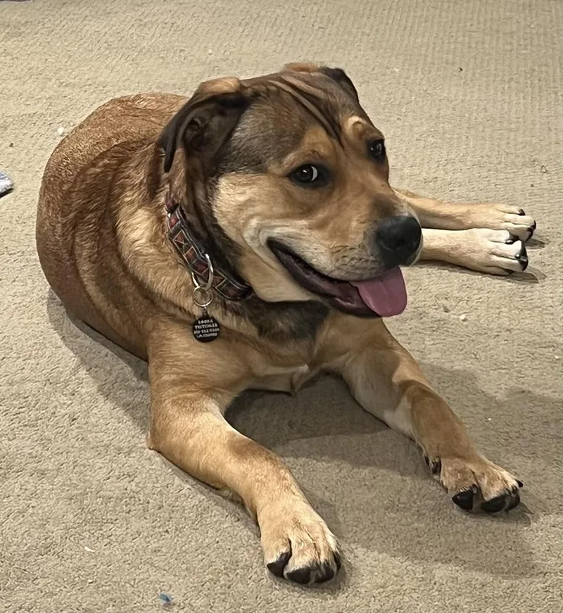 Kenyazambia thumbnail 4