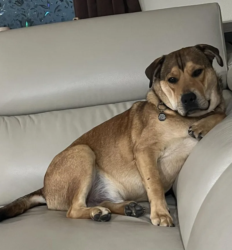 Kenyazambia thumbnail 5