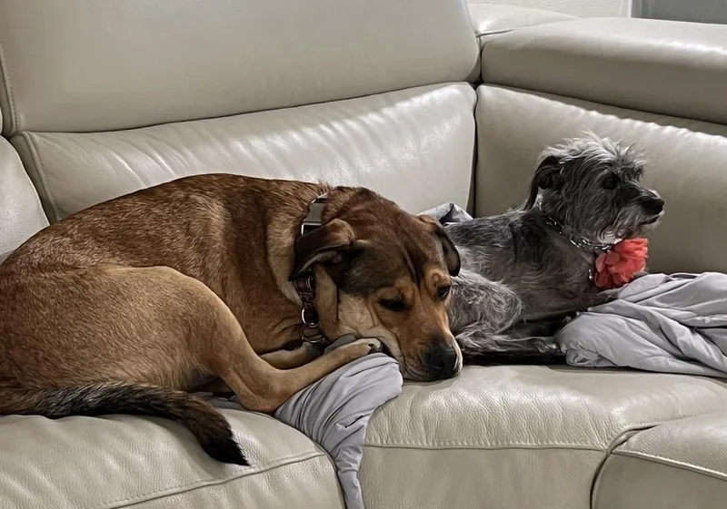 Kenyazambia thumbnail 6