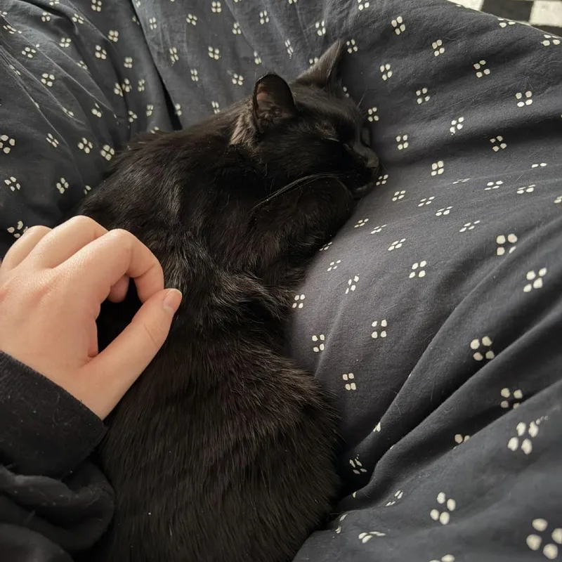 Lady Tutt thumbnail 2