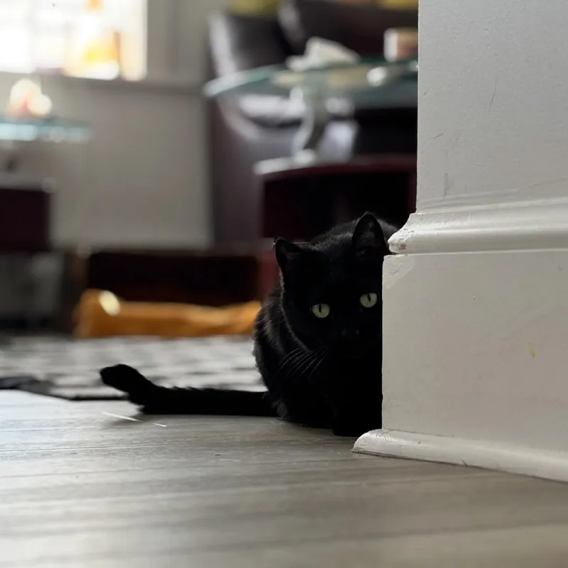 Lady Tutt thumbnail 3