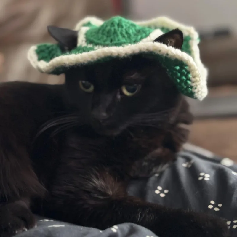 Lady Tutt thumbnail 5