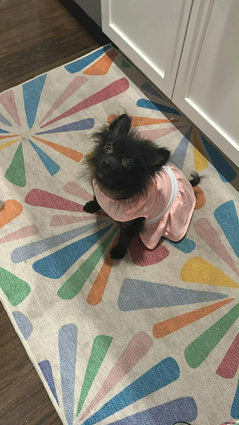 Patricia