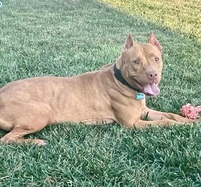 Valentina thumbnail 2