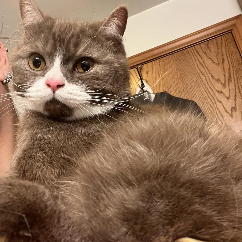 Azreal & Bob thumbnail 5