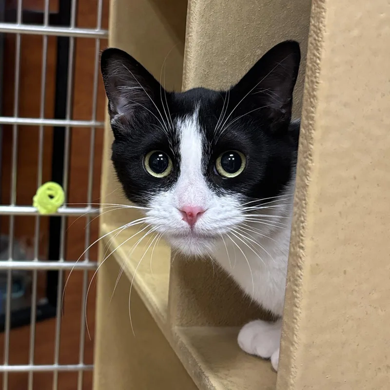 Treasure thumbnail 2