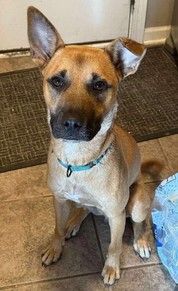 Hercules thumbnail 3