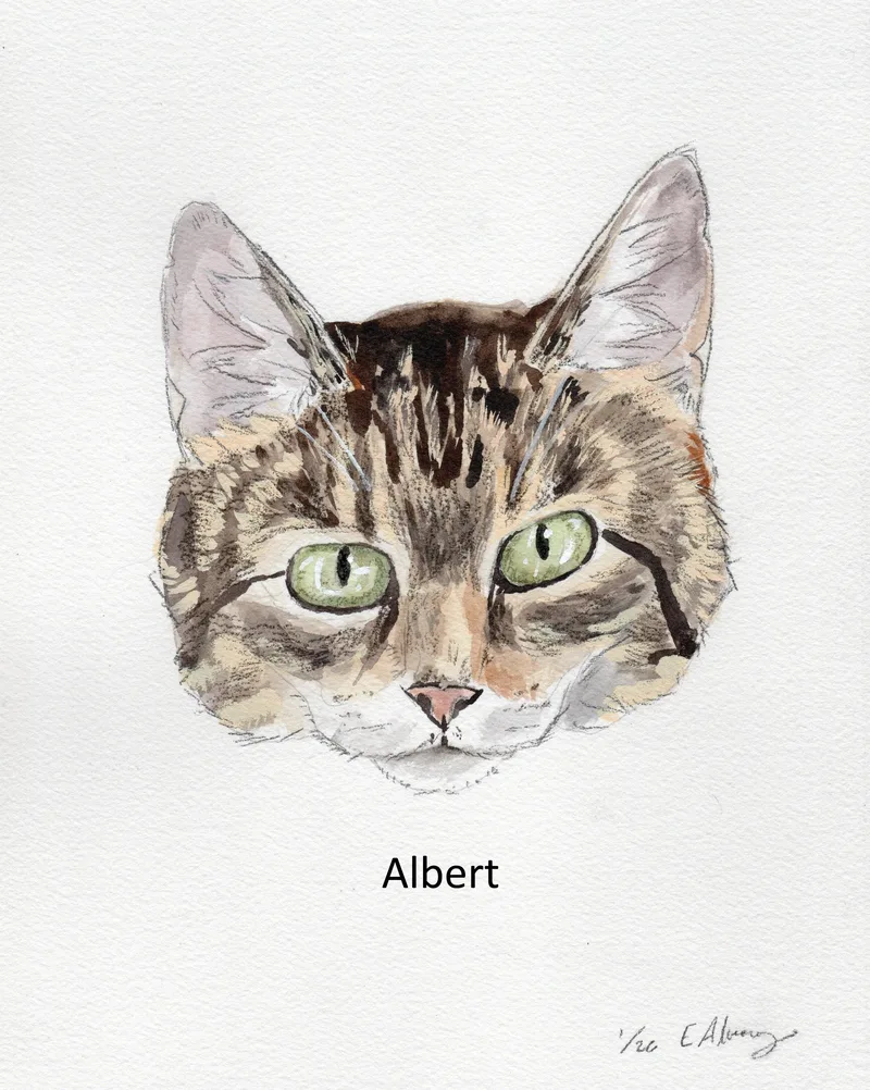 Albert & Freddie thumbnail 2