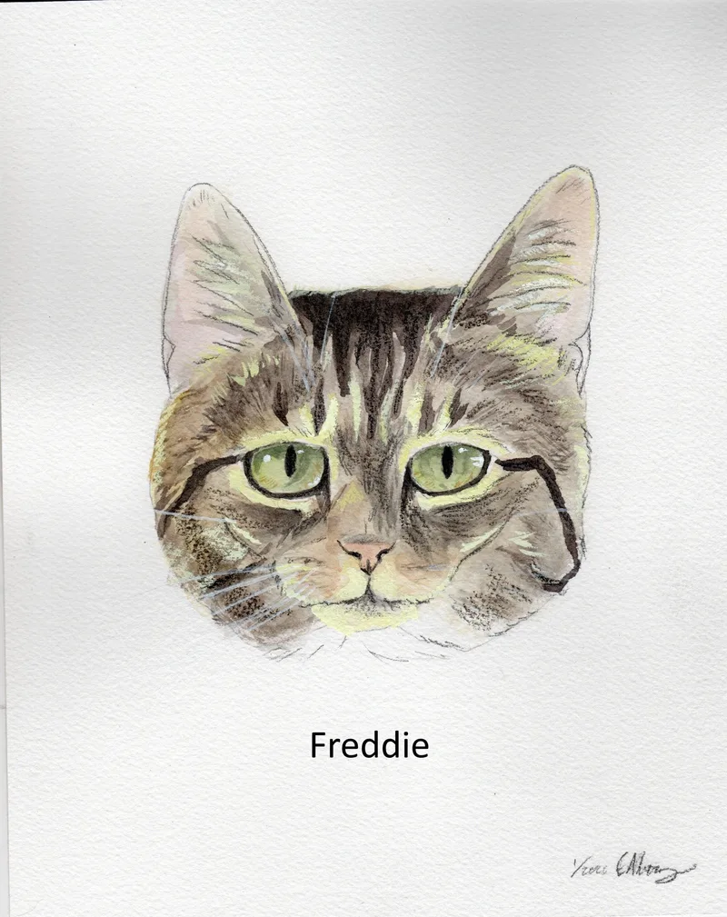Albert & Freddie thumbnail 3