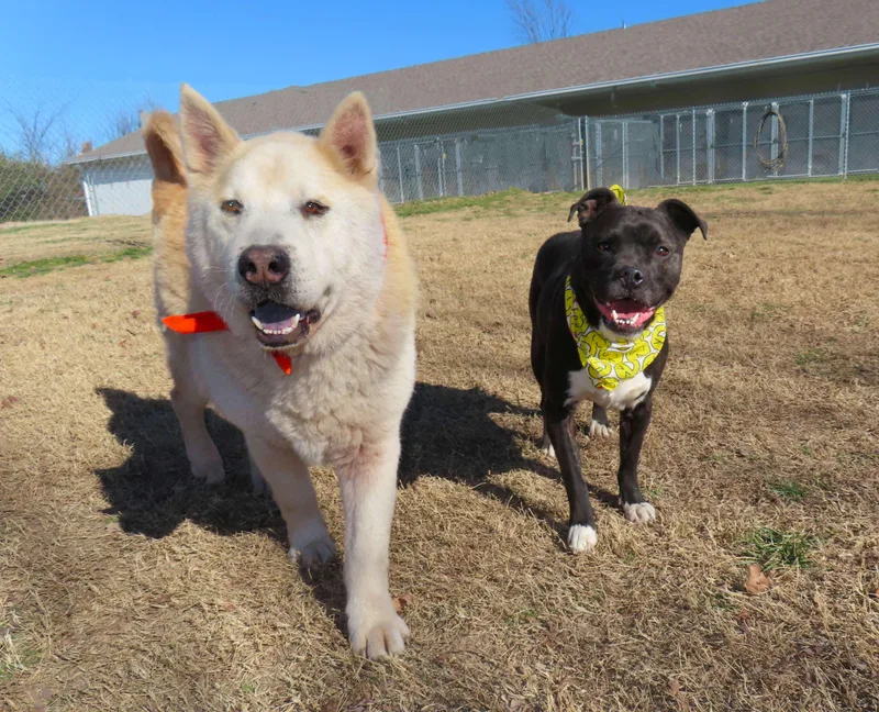 Orville  Ca thumbnail 5