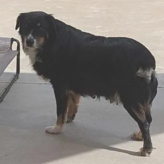 Molly