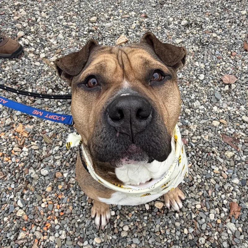 Coltrane thumbnail 2