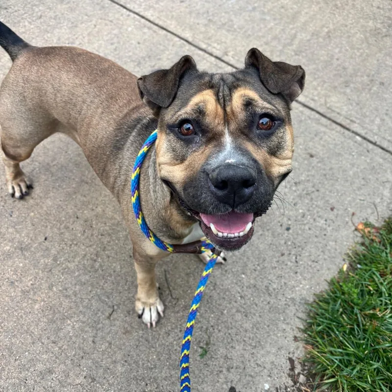 Coltrane thumbnail 3