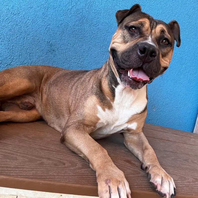 Coltrane thumbnail 4