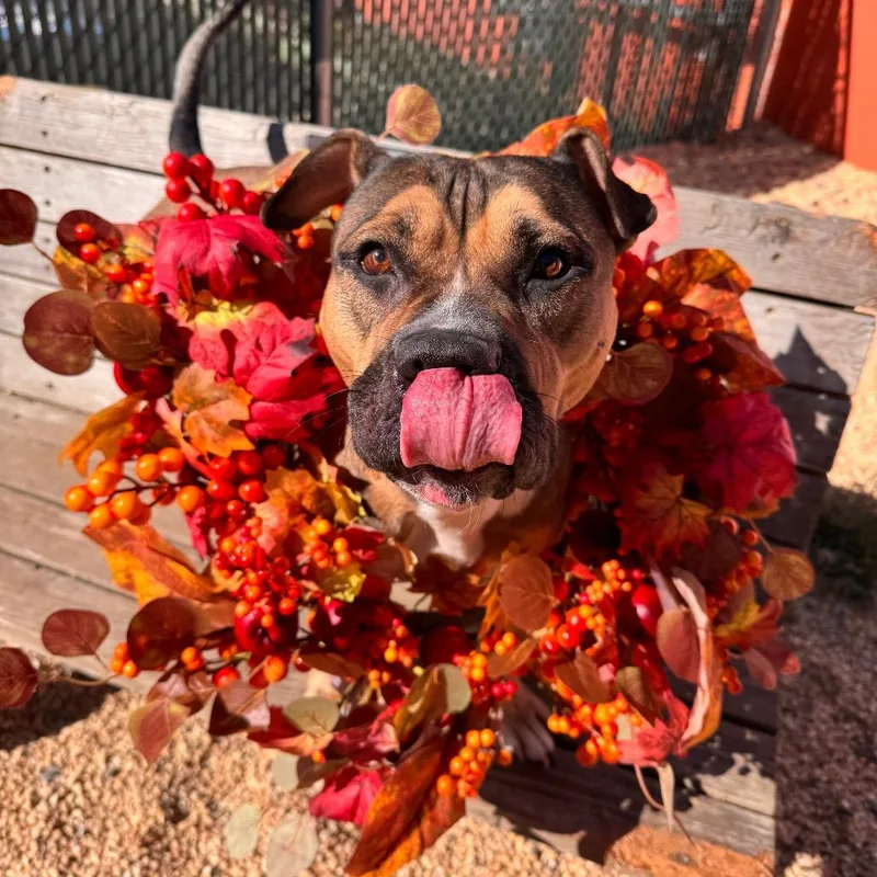 Coltrane thumbnail 5