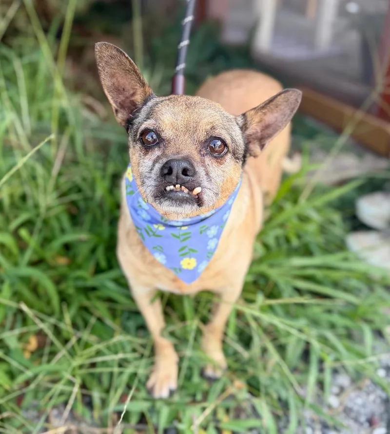 Norma Jean