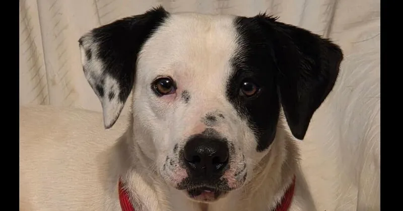 Keisha Nka Anna thumbnail 2